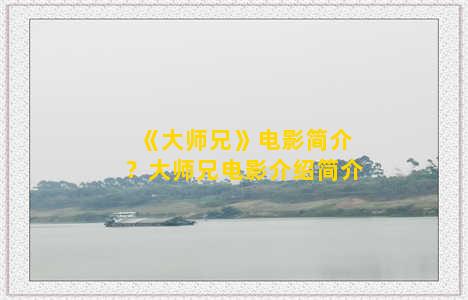 《大师兄》电影简介？大师兄电影介绍简介