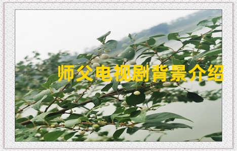 师父电视剧背景介绍