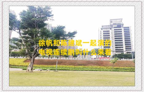 徐帆和陈建斌一起演的电视连续剧叫什么来着