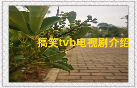 搞笑tvb电视剧介绍