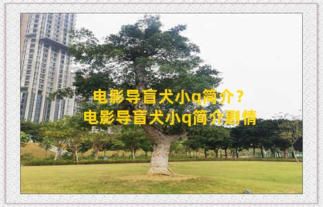 电影导盲犬小q简介？电影导盲犬小q简介剧情