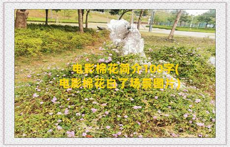 电影棉花简介100字(电影棉花白了场景图片)